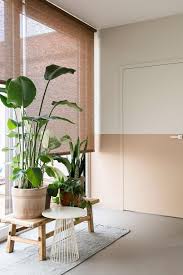 pin van caroline perneel op huis plantendecor woonkamerplanten slaapkamer planten