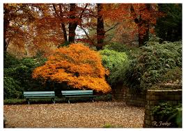 Der botanische garten hat das ganze jahr über geöffnet. Botanischer Garten Bremen Im Herbst 1 Foto Bild Landschaft Garten Parklandschaften Stadte Bilder Auf Fotocommunity