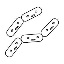 Mar 31, 2021 · germ coloring pages. Learning About Germs 10 Printable Coloring Pages Of Germs For Kids Printables 30seconds Mom