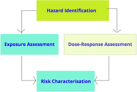 Over half of all deaths before age 65 can now be attributed to lifestyle factors. Lecture Notes On Environmental Health Risk Assessment Authorea