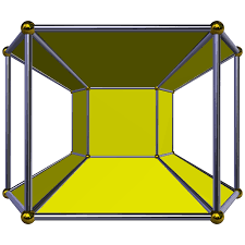 Image result for Duosperma quadrangulare
