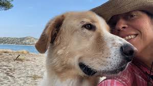 Fundraiser by Heather Heliger : Help get Thor to California