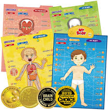 Muscular system facts for kids. Amazon Com Best Learning I Poster My Body Interactive Educational Human Anatomy Talking Game Toy System To Learn Body Parts Organs Muscles And Bones For Kids Aged 5 To 12 Years Old Toys