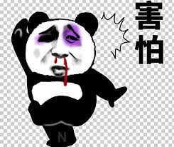 Arabia senegal serbia seychelles sierra leone singapore sint maarten (dutch part) slovakia slovenia solomon islands somalia south africa south whispered. Singapore Newscaster Blood Video Png Clipart Art Blood Carnivoran Chen Yifa Doubt Free Png Download