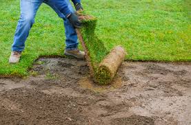 However, all that money would go down the drain if the new sod doesn't anchor to your lawn and grow naturally. Mowing Landscape Maintenance In Flower Mound Main Street Mowing