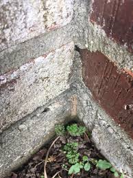 50 years of louisiana pest control sucess. Pest Tech Llc Local Business Baton Rouge Louisiana 10 Photos Facebook