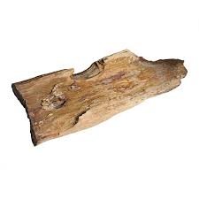 So you have a large collection of petrified wood that you've collected over the years and you want to cash out? Raw Petrified Wood For Sale At 1stdibs