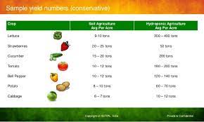 Lifelab Is Making The World S Smallest Hydroponic Modules In Lebanon Berytech