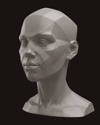 Face Planes Anatomy Sculpture Head Anatomy Anatomy Art