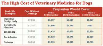 Pet insurance pays for part or the full cost of vet bills for your dog or cat (or horse, bird or any other pet) if they get sick or injured. Dog Health Insurance Can Save Thousands Of Dollars In Veterinary Costs Beverly S Pet Resort Blog