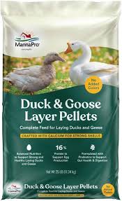 Turkey eggs are quite a bit bigger than chicken eggs—more than 50 percent larger. Buy Manna Pro Duck Layer Pellet High Protein For Increased Egg Production Formulated With Probiotics To Support Healthy Digestion Online In Turkey B084zyng5r