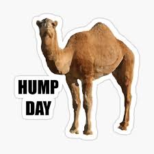 Either because he's oblivious to the pop culture references of midgard or because wednesdays are named after his father. Hump Day Commercial Gifts Merchandise Redbubble
