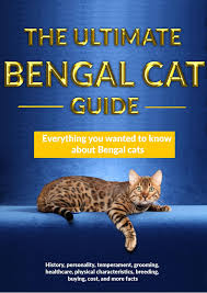 It is a typical foreign breed with a strong muscular yet elegant body. The Ultimate Bengal Cat Guide Pages 1 41 Flip Pdf Download Fliphtml5