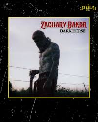 El guitarrista de Avenged Sevenfold Zacky Vengeance ha lanzado su primer  single como solista. Vengeance se vuelve country con la canción "Dark Horse",  que lanzó bajo su nombre real, Zachary Baker. Baker