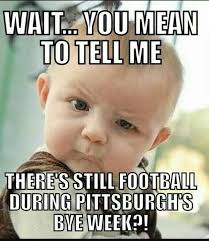 You Mean To Tell Me There S Still Football During Pittsburgh S Bye Week Fishing Humor Real Estate Humor Funny