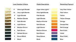 Please Help Get Rid Of Orange Hair Color Formulas Hair Color Chart Hair Color