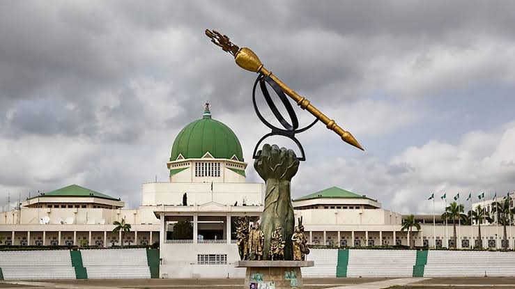 NASS to digitise records, translate laws into indigenous languages