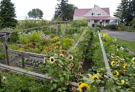 The pacific northwest region typically includes the states of oregon, washington as well as northern california. Plant Talk This Is The One Day Of The Year That Pacific Northwest Magazine Is All About Gardens