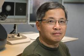 John Miao recognized by Materials Research Society