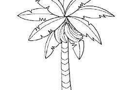 Search through 623,989 free printable colorings at getcolorings. Banana Bunch On Banana Tree Coloring Pages Netart