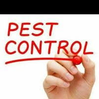 Children are especially susceptible to harm from pesticides, because their bodies and immune systems are still developing. What Are Some Pest Control Methods Quora