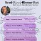 Week 3: Seed-Root-Bloom-Rot, Self-Care Series event image