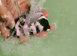 Work hard, play hard—but don't forget to relax! The Lowdown On Cbd Oil Lush Fresh Handmade Cosmetics