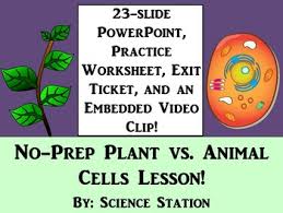 Animal cells do not have cell walls. Plant Cells Vs Animal Cells By Science Station Tpt