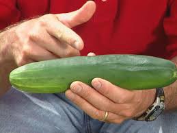 The most important thing when growing cucumbers is to consider which type is right for your garden: How To Grow Cucumbers How Tos Diy