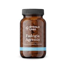 Image result for Fadogia
