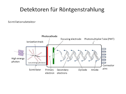 Der szintillationszähler wird im sockel montiert und die spitze des szintillationszählers mit dem plexiglasrohr umgeben. Detektoren Fur Rontgenstrahlung Ppt Video Online Herunterladen
