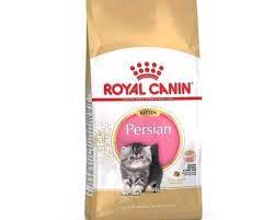 Pin Di Makanan Kucing