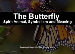The Butterfly Spirit Animal A Complete Guide To Meaning And Symbolism Butterfly Spirit Animal Spirit Animal Spirit Animal Totem