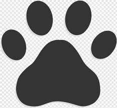 dog paw print paw print icon transparent background png download 800x800 975116 png image pngjoy pngjoy
