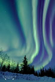 Encantadora Aurora Sky Aurora Boreal Aurora Borealis Northern Lights