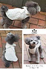 楽天市場 new arrival toi et moi フェアリーレースワンピース ssサイズ niche 雑貨 犬服 ニーシェ 犬 ペット服 犬服 型紙