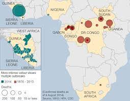 Ebola virus disease (ebola) is a disease caused by species in the genus ebolavirus in the filoviridae family. Indian Media Ebola Concerns Bbc News