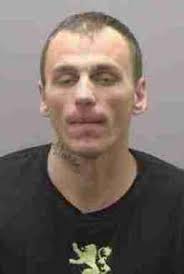 Deputies find wanted fugitive