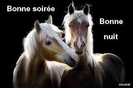 Bonne nuit ! - Chat & Chien