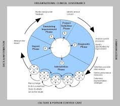 Whole Process Clinical Governance Implementation Guide Improve