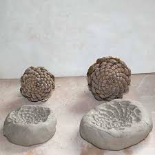 Natural Pine Cone Texture Seramik Sanati Kil Modelleme Yaratici Fikirler