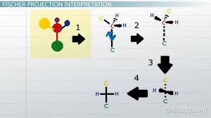 Once the first bond is drawn in a newman projection of a chair conformation of cyclohexane ring, all of the Fischer Projections In Organic Chemistry Definition Examples Interpretation Video Lesson Transcript Study Com