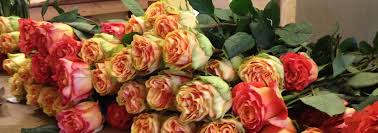 If you are planning to order flowers online and you want the same day delivery of flowers to delhi or looking for online flower delivery in mumbai or bouquet delivery in mumbai by the best florist in mumbai, bangalore, hyderabad or any other city of india, fnp is the ideal choice. Onlineflower10 Send Flowers To Gurgaon