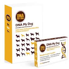 Dna My Dog Breed Identification Test 1800petmeds