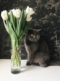 pin na doske moj profil