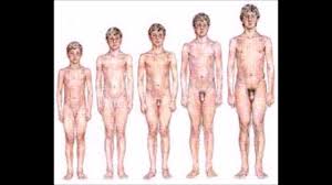 Average Male Penis Girth - 5 Inch Penis Girth - YouTube