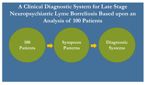 Healthcare Free Full Text A Clinical Diagnostic System For Late Stage Neuropsychiatric Lyme Borreliosis Based Upon An Analysis Of 100 Patients Html