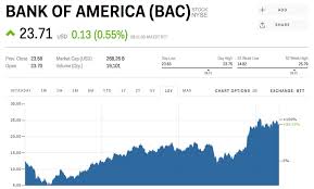 Bank Of America Rises After Warren Buffett Becomes Its