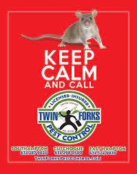 The pest control company you call might offer you a trap to help you in your skunk quest, and if they do come out to your property at all, they may recommend using moth balls. Calameo Dan S Papers December 27 2019 January 3 2020 Issue 1