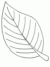 Download now (png format) my safe download promise. Large Leaf Coloring Page Coloring Home